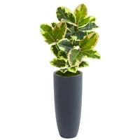 Почти естествен 35 гумени листа изкуствено растение в сив плантатор